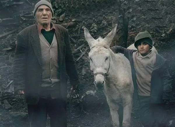 فیلم سینما خر
