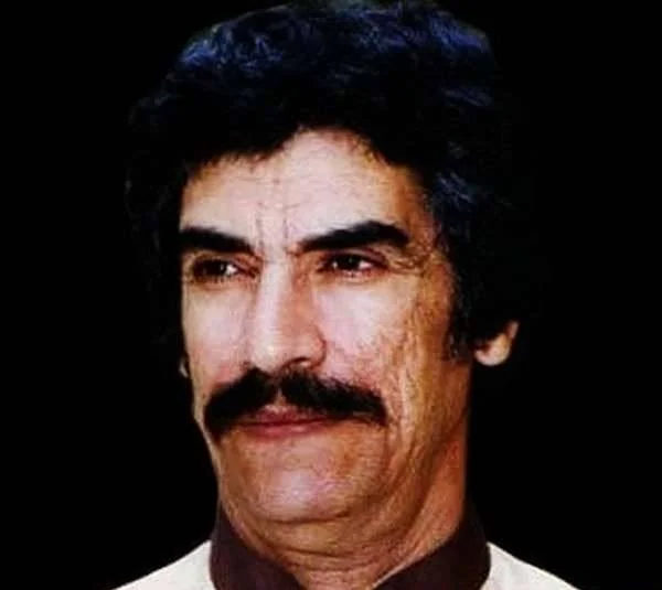 نورالدین رضوی