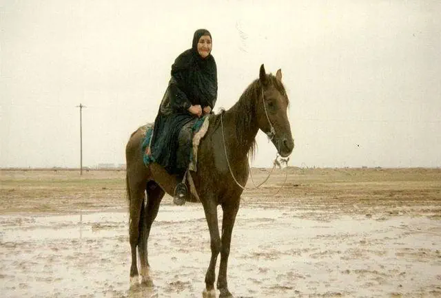 پروین سلیمانی