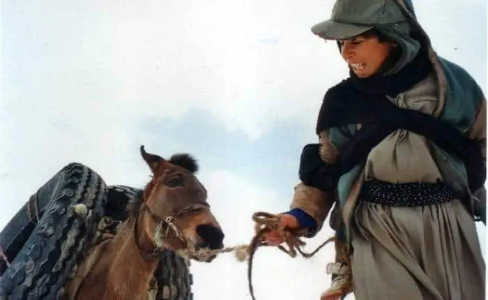 بازیگر زمانی برای مستی اسب ها