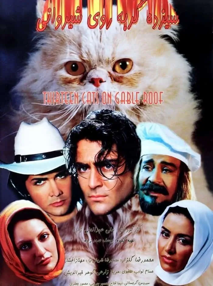 سیزده گربه روی شیروانی