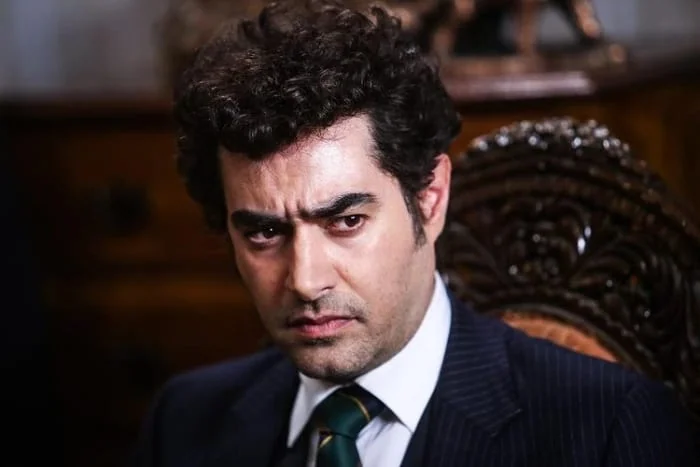 شهاب حسینی