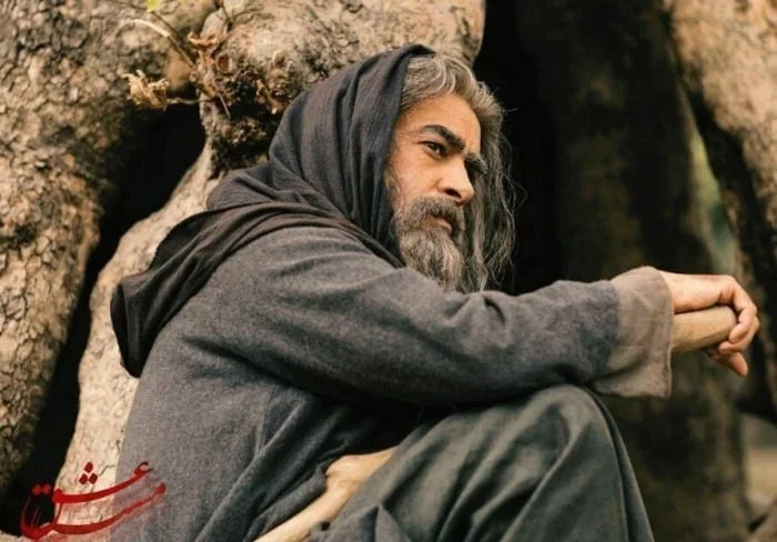 شهاب حسینی