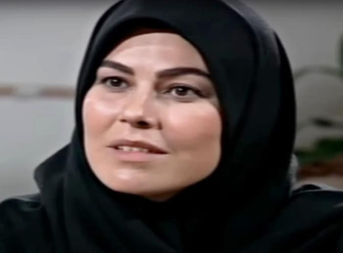 مهرانه مهین ترابی در سریال همسران مهرانه مهین ترابی