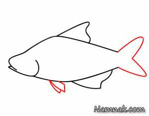آموزش کشیدن نقاشی ماهی