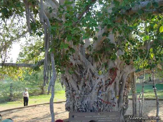 مناطق دیدنی و توریستی چابهار