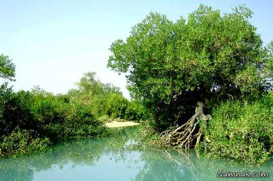 مناطق دیدنی و توریستی چابهار
