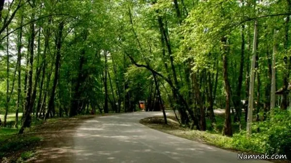 نور