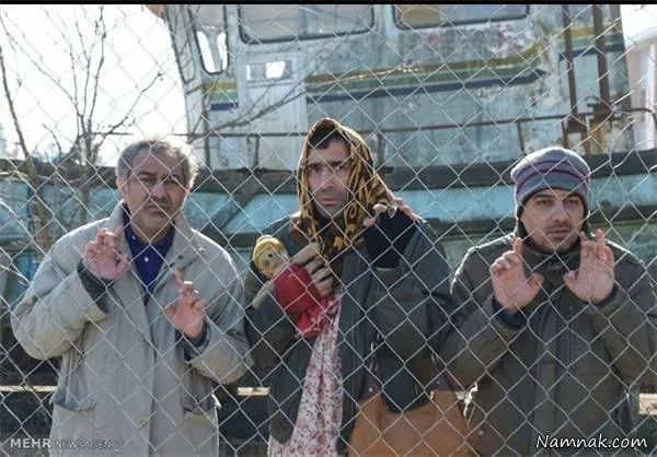  من دیوانه نیستم 