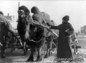 ماجراجوترین زنان