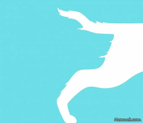 تست های روانشناسی 