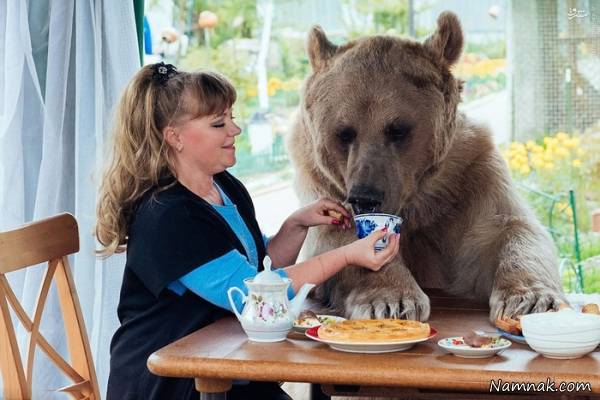 زوج روسی درکنار خرس