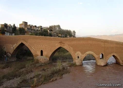 سرزمین زیتون
