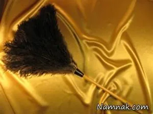 گردگیر دستی