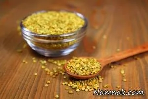 زنبور عسل