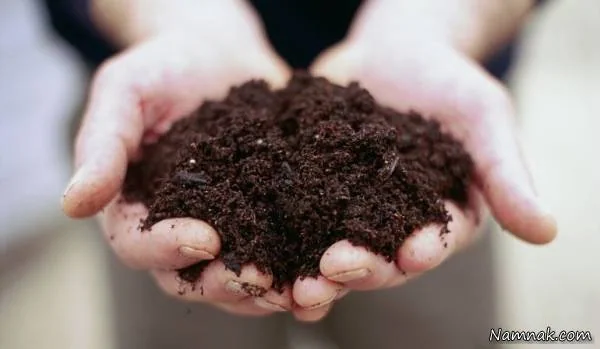 باغچه ای زیبا 
