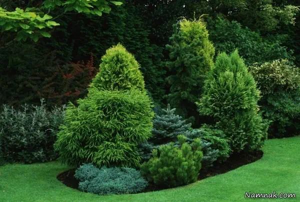 باغچه ای زیبا 