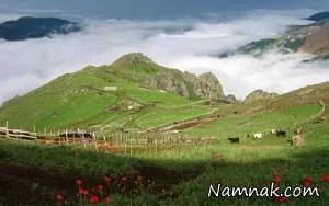 سوباتان