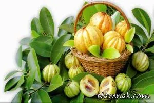 میوه گارسینیا کامبوجیا
