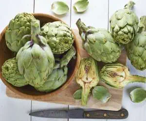 کنگر فرنگی