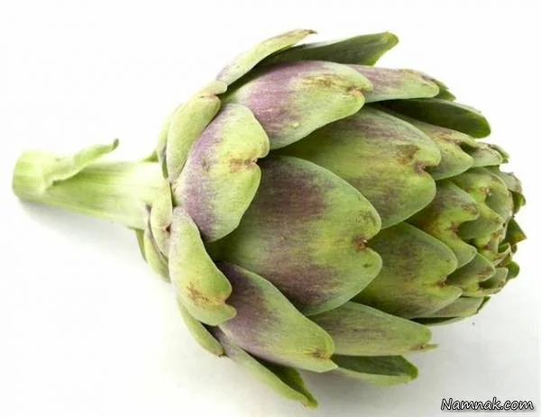 کنگر فرنگی 