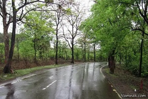 باران 