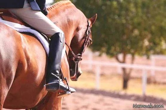 نکاتی برای آموزش ورزش سوارکاری به مبتدی ها