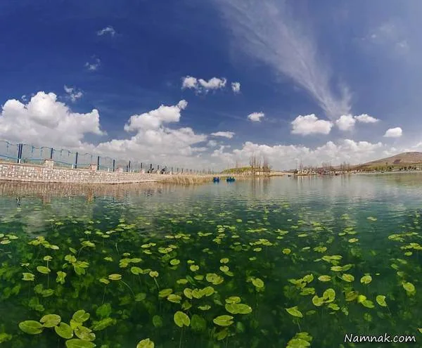 سراب نیلوفر