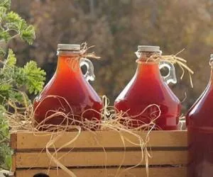 نگهداری آبغوره خانگی