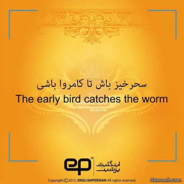 اصطلاحات رایج فارسی