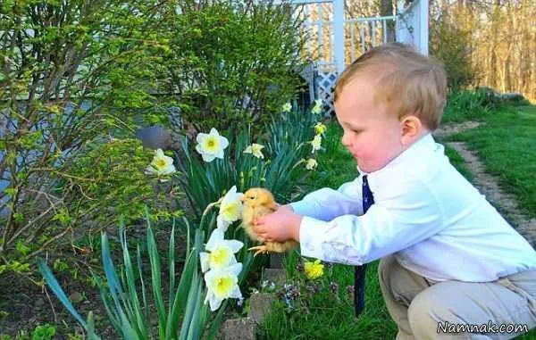 عکس جالب حیوانات