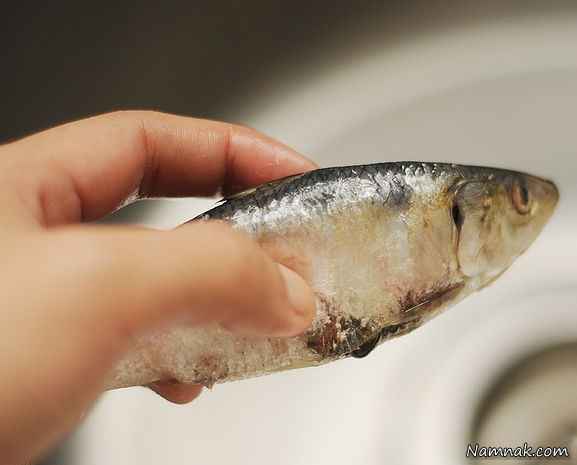 روش تشخیص ماهی تازه و کهنه