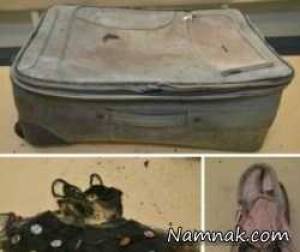 کشف جنازه کودک خردسال در چمدان بعد از 8 سال + تصاویر