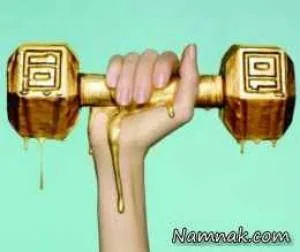 خواص چربی