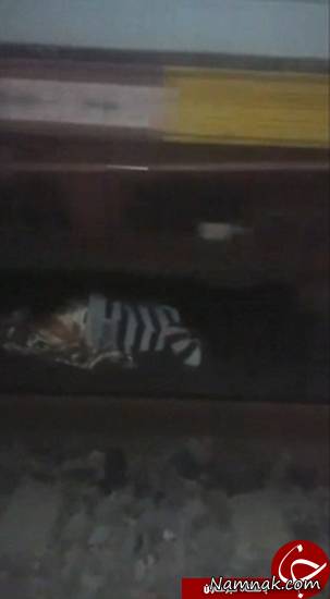 خوابیدن زیر قطار