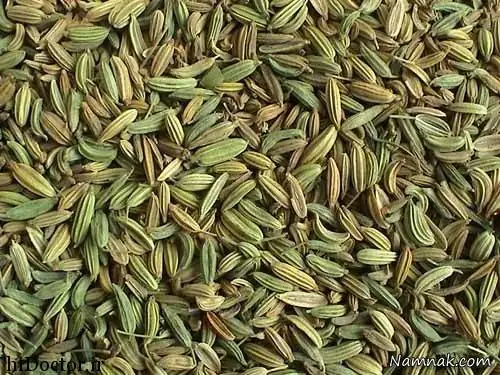 چربی سوز شکم