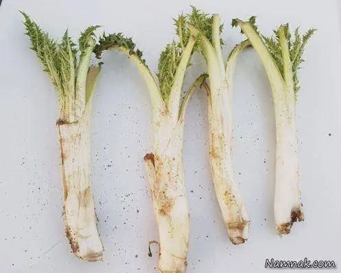کنگر برای چربی زیربغل 
