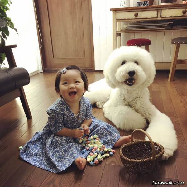 عکس دختربچه با سگش