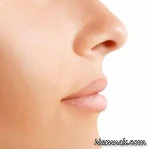شخصیت مدل بینی