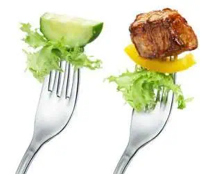مزایا و معایب گیاهخواری