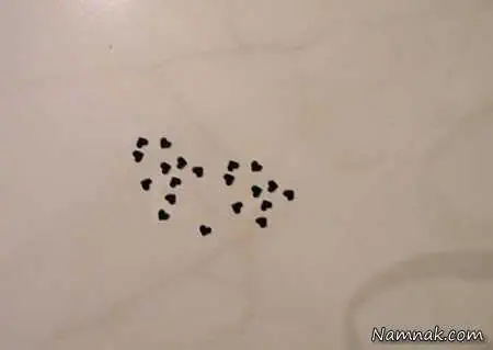 ساخت کارت تبریک شب یلدا