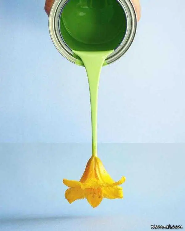 عکس های ترکیبی
