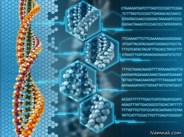 ذخیره اطلاعات روی dna