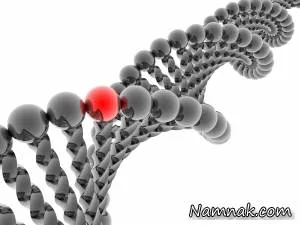 ذخیره اطلاعات