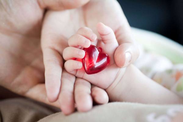 قلب جنین در هفته چندم تشکیل میشود قلب جنین در هفته چندم تشکیل میشود