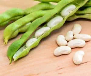 خواص لوبیا لیما