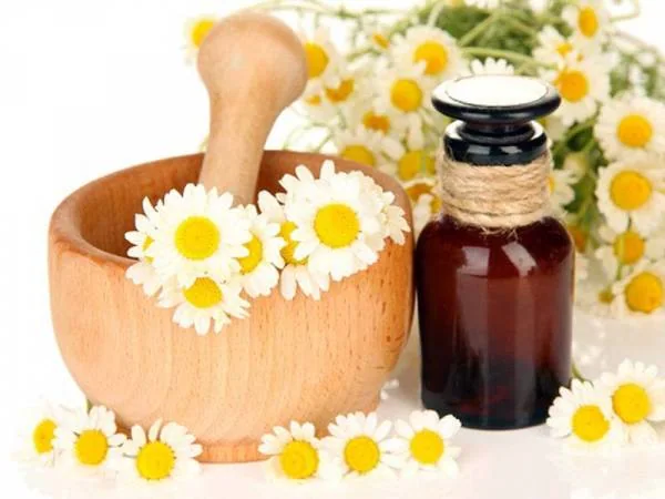 روغن بابونه رومی