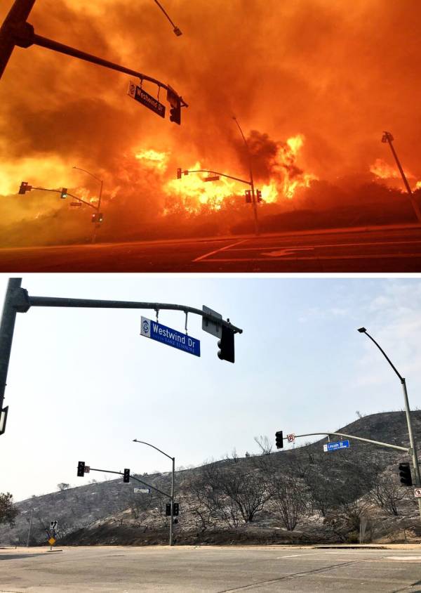 جنگل آتش گرفته کالیفرنیا