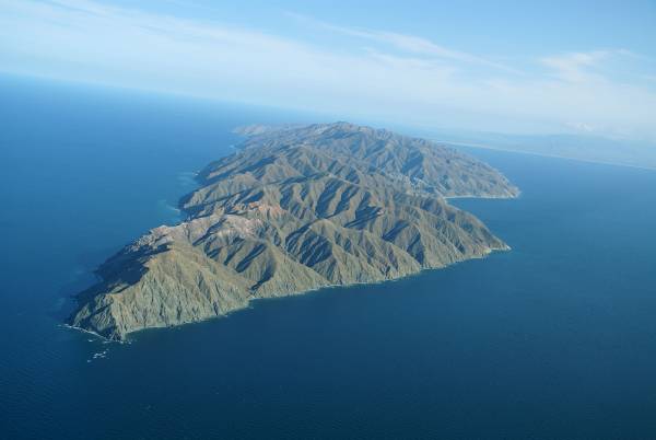 جزیره Cerralvo