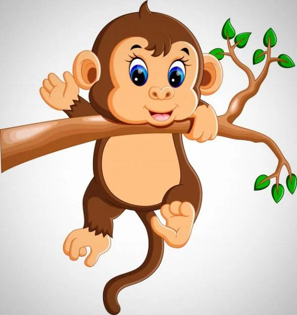 فال چینی متولدین سال میمون